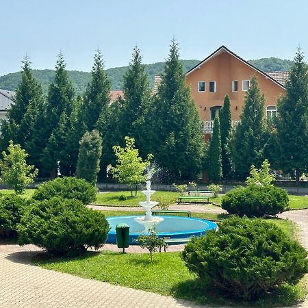 Hotel Diana Bistriţa المظهر الخارجي الصورة